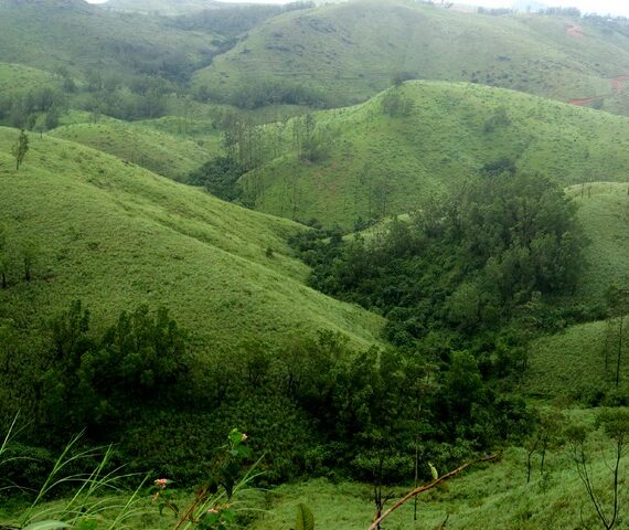 Vagamon