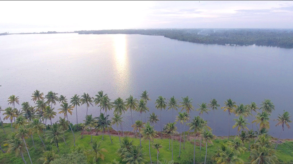 ashtamudi_lake