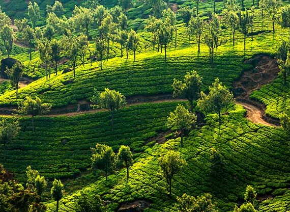 Munnar