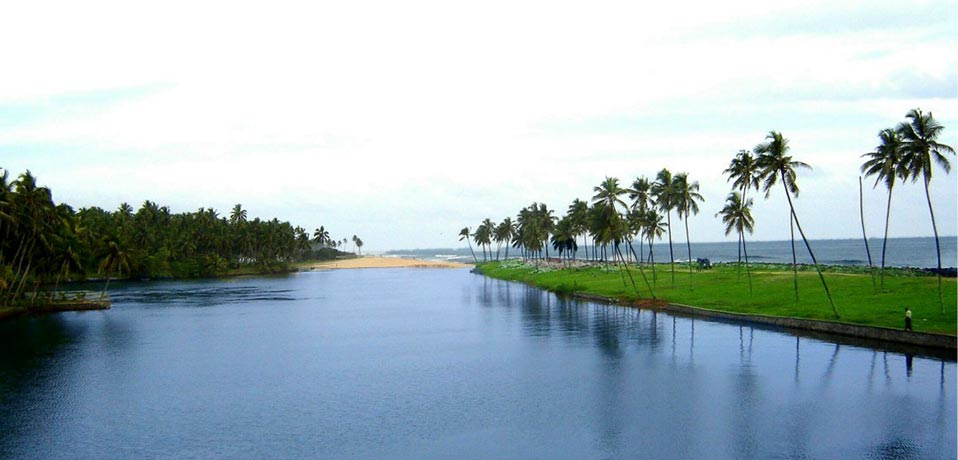 poovar