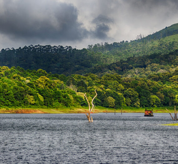 Periyar National Park – Kumily