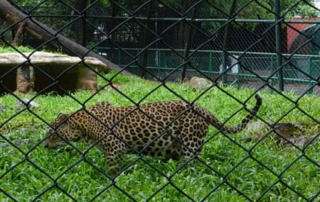 Thiruvananthapuram Zoo