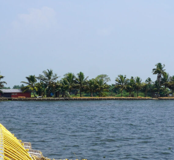 Recommended Hotels in Alappuzha