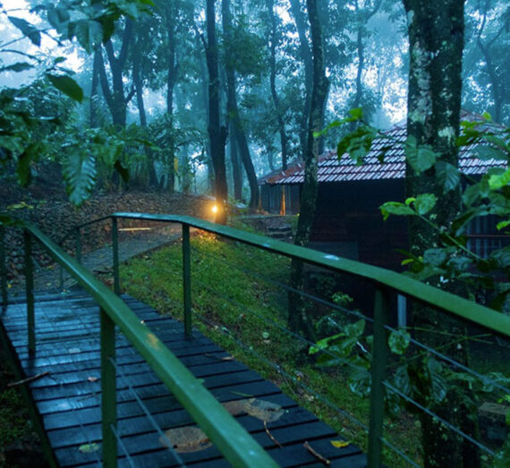 Recommended Hotels in Wayanad