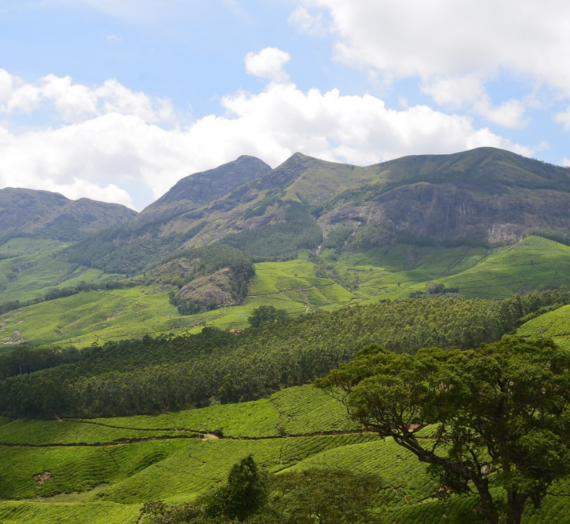 Recommended Homestays in Munnar