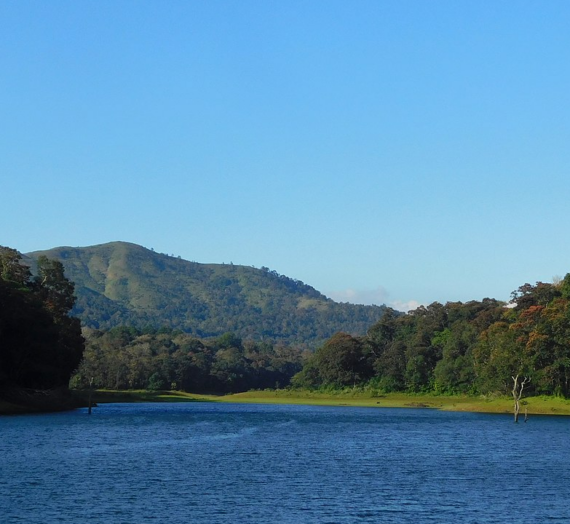 Recommended Homestays in Thekkady