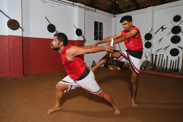 Kalaripayattu Show in Kochi