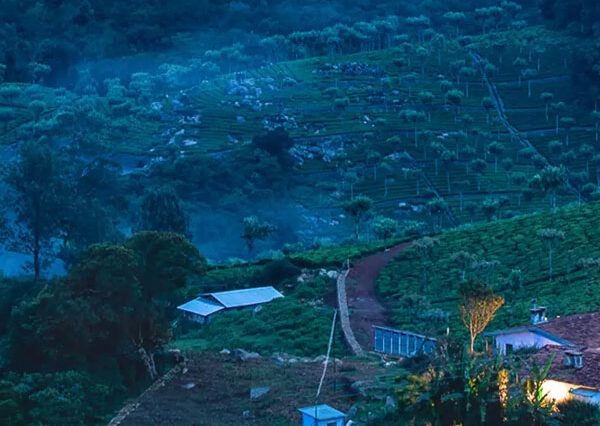 Calicut Ooty Tour – 3 Days