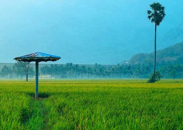 Palakkad Day Tour