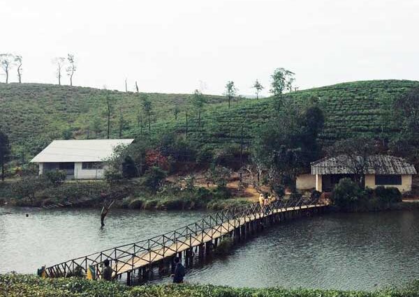 Fort Kochi Vagamon Tour - 3 Days
