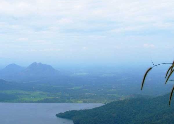 Nelliyampathy Day Tour - Palakkad Pickup